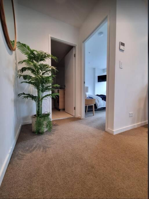 גולד קוסט Broadbeach Stunner Modern And Central מראה חיצוני תמונה